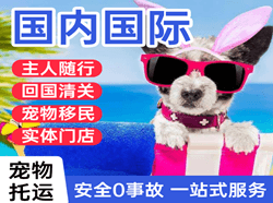 拉萨航空运输国际宠物托运 【国